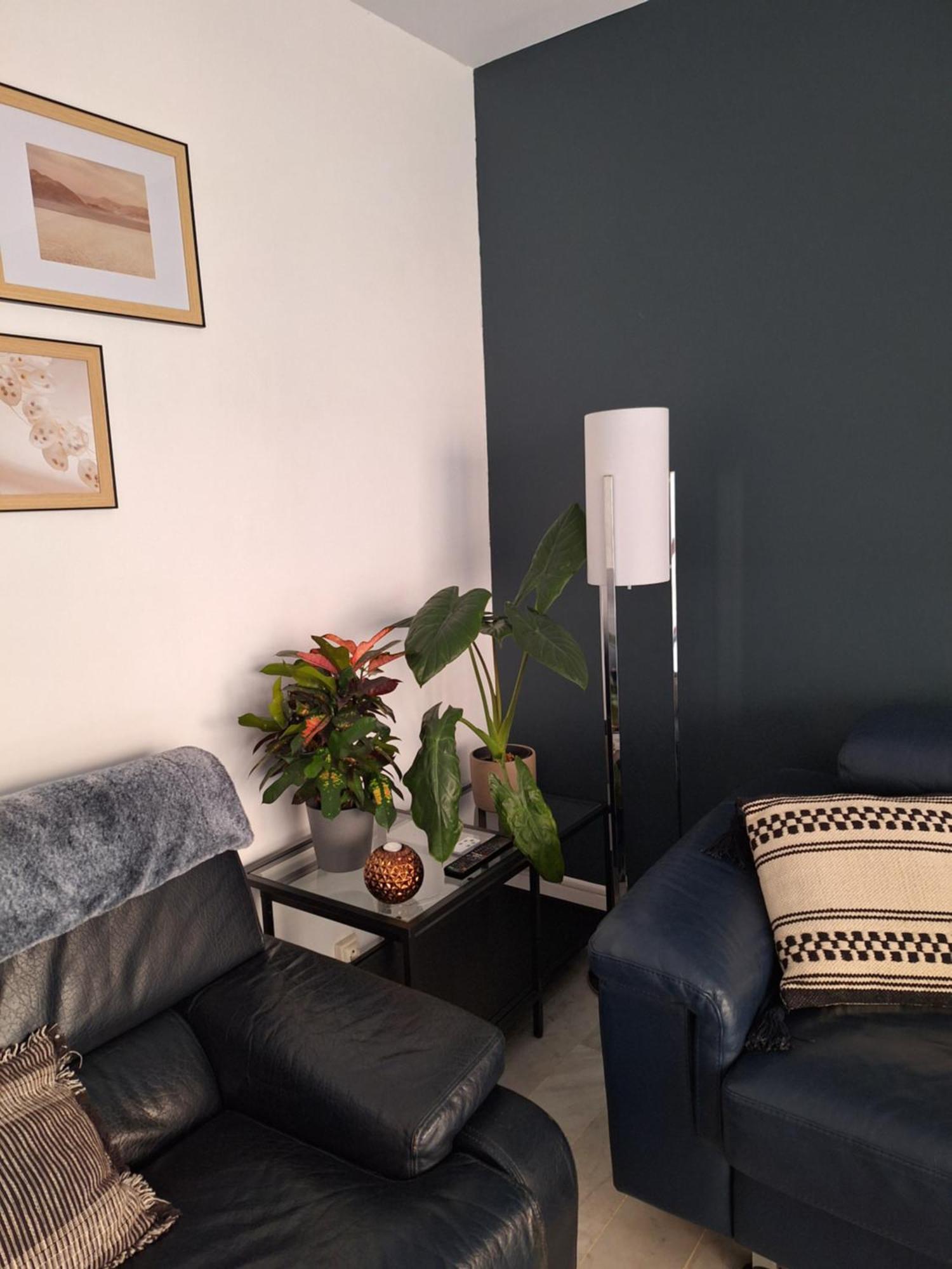Appartement T3 Plein Centre Saint-Raphael (Var) Exterior foto